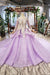 Gorgeous Long Sleeve Ball Gown Appliques Beads Lilac Quinceanera Dresses with Lace up P1135