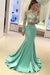 Pretty Two Pieces High Neck Long Sleeve Lace Prom Dress Sexy Mermaid Prom Dresses JS682