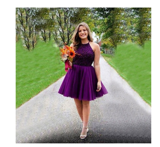 Purple Short Halter Neck Backless Beads Tulle Juniors Mini Sweet 16 Homecoming Dress JS433