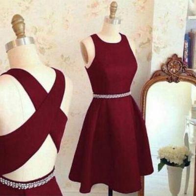 Lovely Cute Prom Dress Short Prom Dresses Homecoming Dress Prom Party Dress JS919